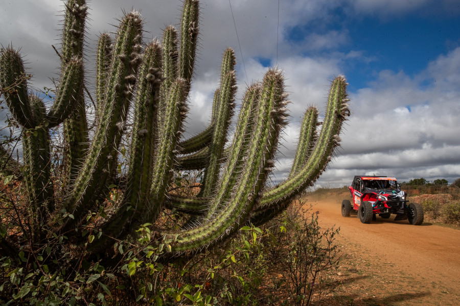 Un día de polvo y motor en el Sertões, el mayor rally de América Latina