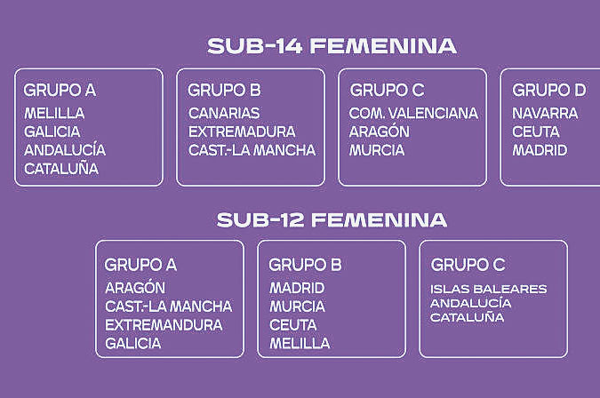 La composiciu00f3n de los grupos de las dos categoru00edas   Futgal